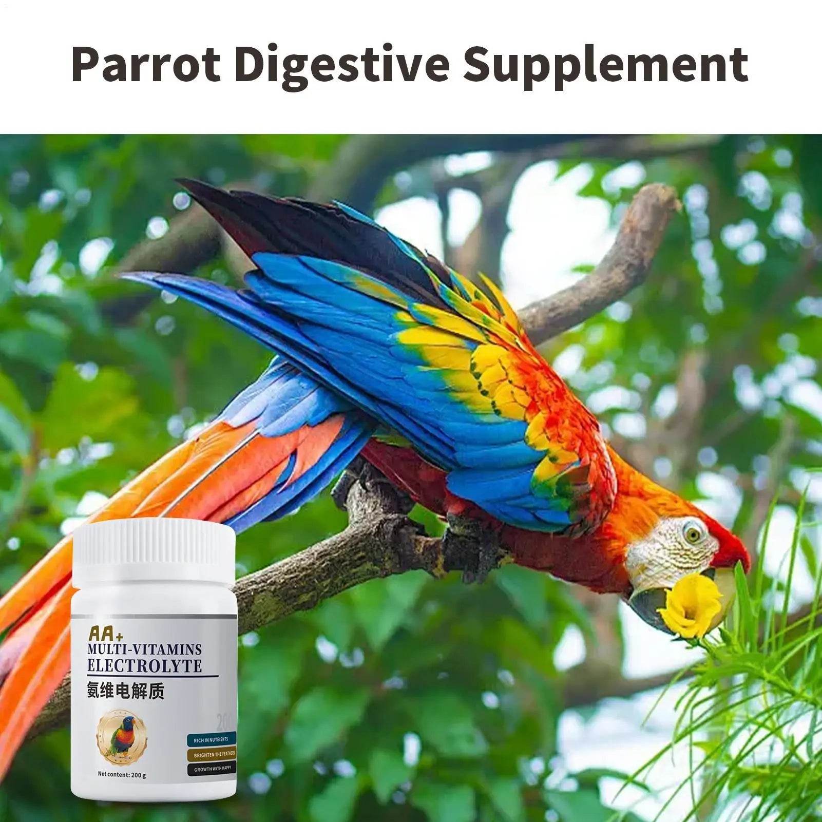 Supplements For Chickens Natural Parrot Supplements Parakeet Supplies For Travel Foraging Water Prevention Berries Food Nest