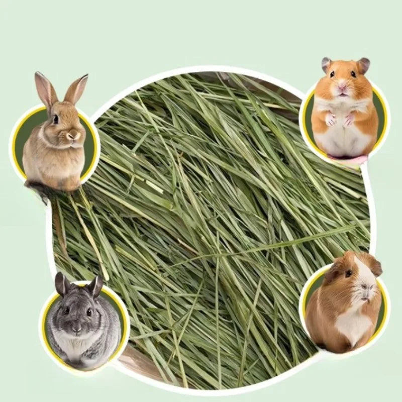 High Fiber Dried Timothy Grass Natural Rabbit Feed Chewable Grass For Chinchilla Guinea Pig Small Pet Dental Care Food Supply