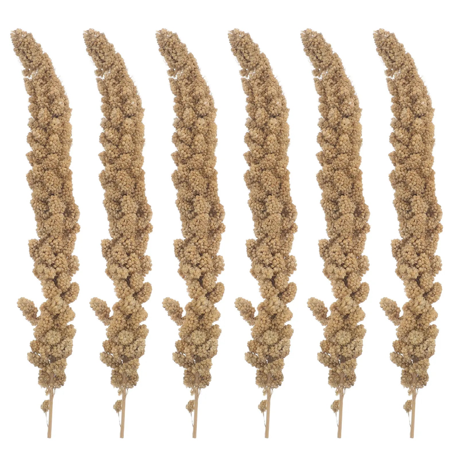 500g Millet Treat for Pet Birds Natural Bird Snack Millet Dried Millet for Parakeets Cockatiels Lovebirds Budgies Finches Supply