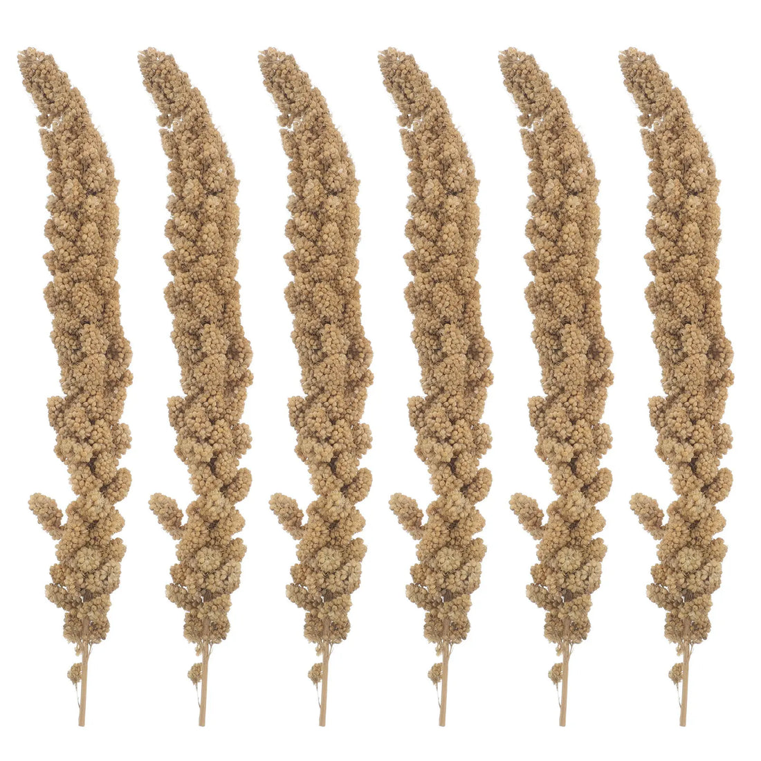 500g Millet Treat for Pet Birds Natural Bird Snack Millet Dried Millet for Parakeets Cockatiels Lovebirds Budgies Finches Supply