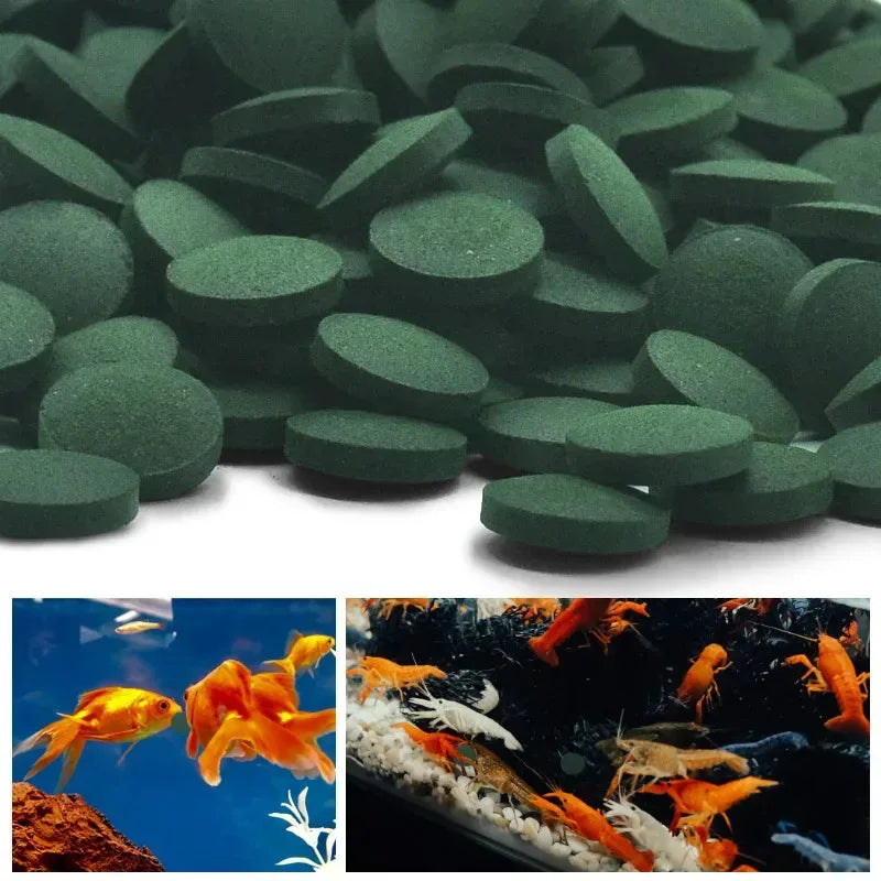 100-1000pcs High Purity Spirulina Tablets Spiral Seaweed Enrichment Favorite Pets Food Fish Crystal Red Shrimp Fish FoodAquarium