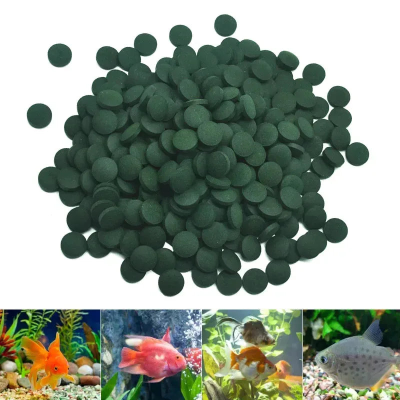 100-1000pcs High Purity Spirulina Tablets Spiral Seaweed Enrichment Favorite Pets Food Fish Crystal Red Shrimp Fish FoodAquarium
