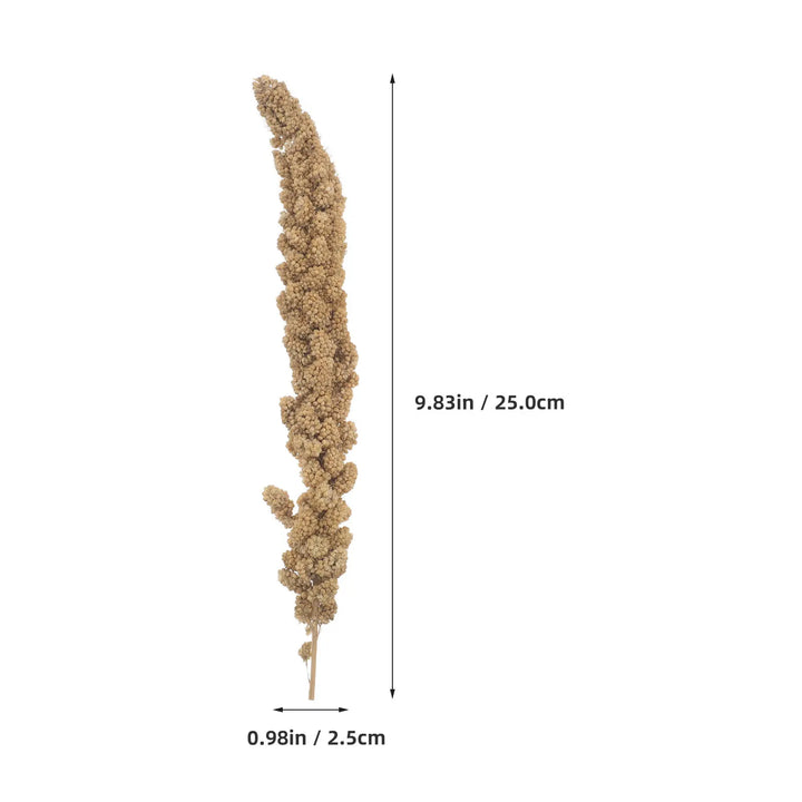 500g Millet Treat for Pet Birds Natural Bird Snack Millet Dried Millet for Parakeets Cockatiels Lovebirds Budgies Finches Supply