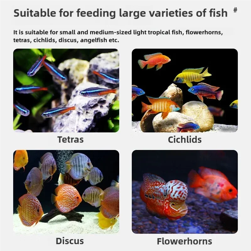 Freeze Dried Tubifex Worms Red Thread Worm Patch Food for Tropical Fish and Amphibians
